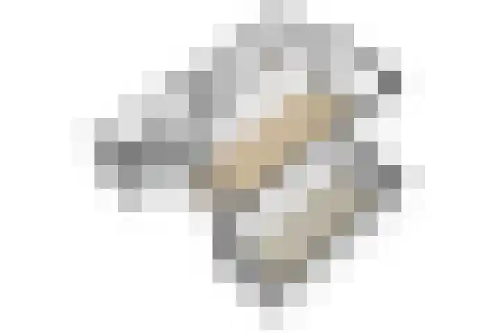 Obrechtlaan 72 Assen thumbnail 40