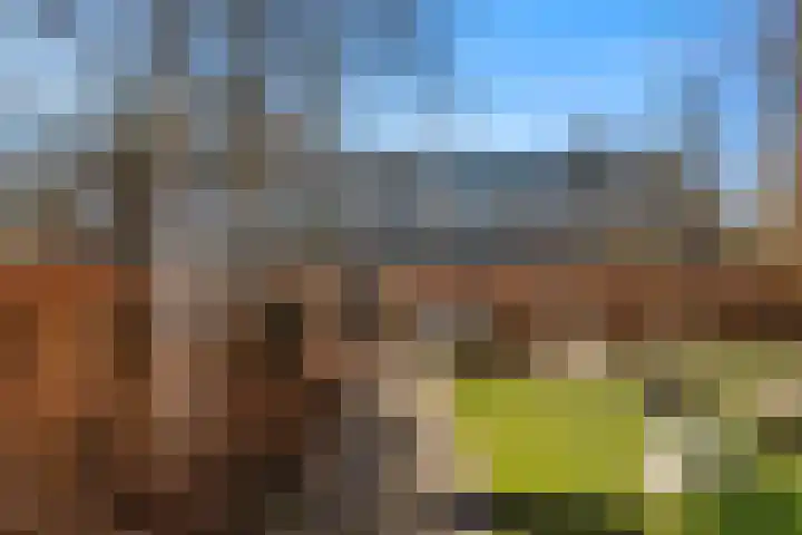 Obrechtlaan 8 Ede thumbnail 34