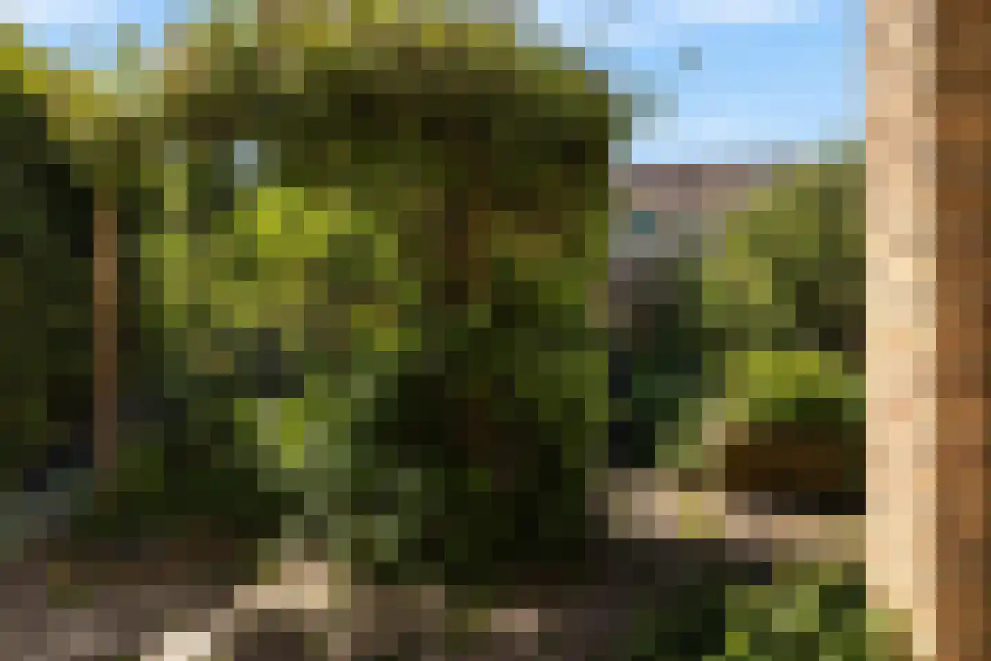 Obrechtlaan 88 Assen thumbnail 16