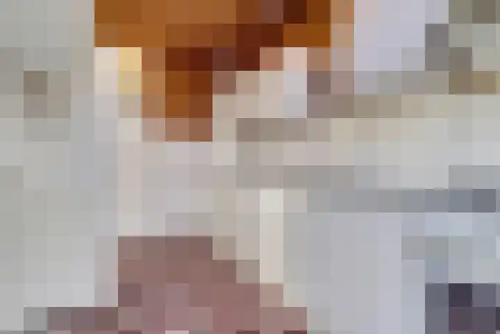 Obrechtlaan 9 Ede thumbnail 8