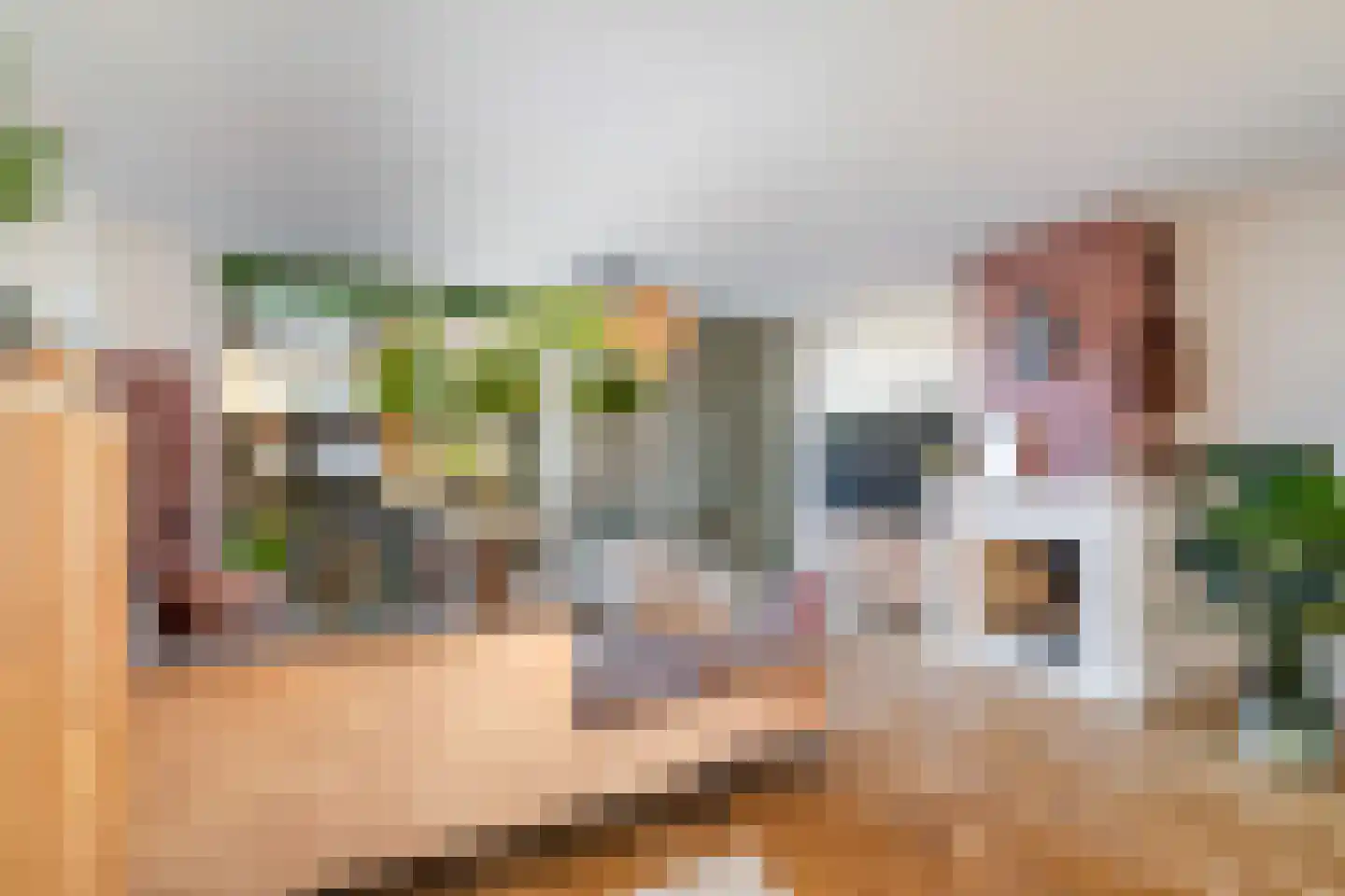Obrechtrode 38 Zoetermeer thumbnail 12