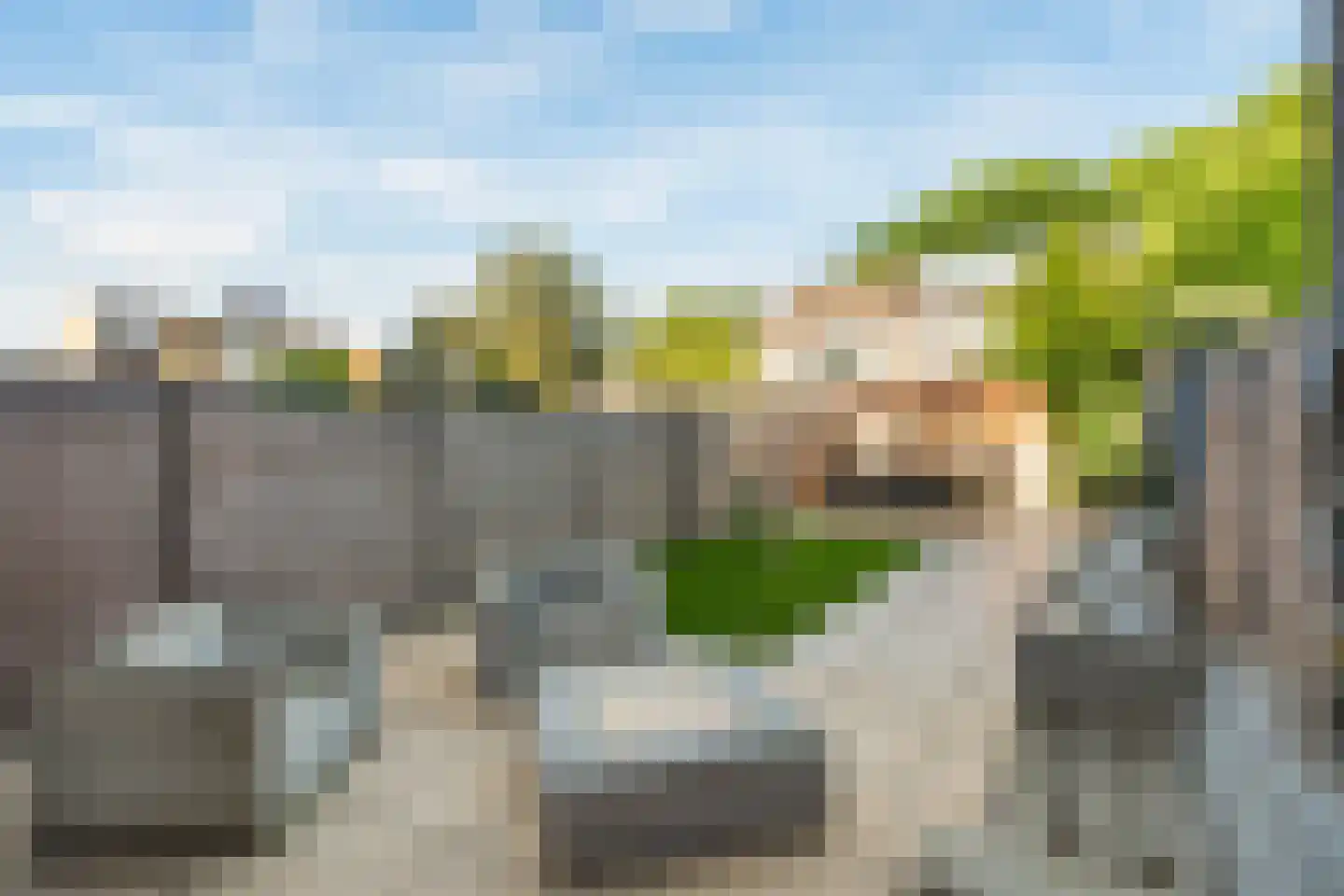 Obrechtrode 38 Zoetermeer thumbnail 15