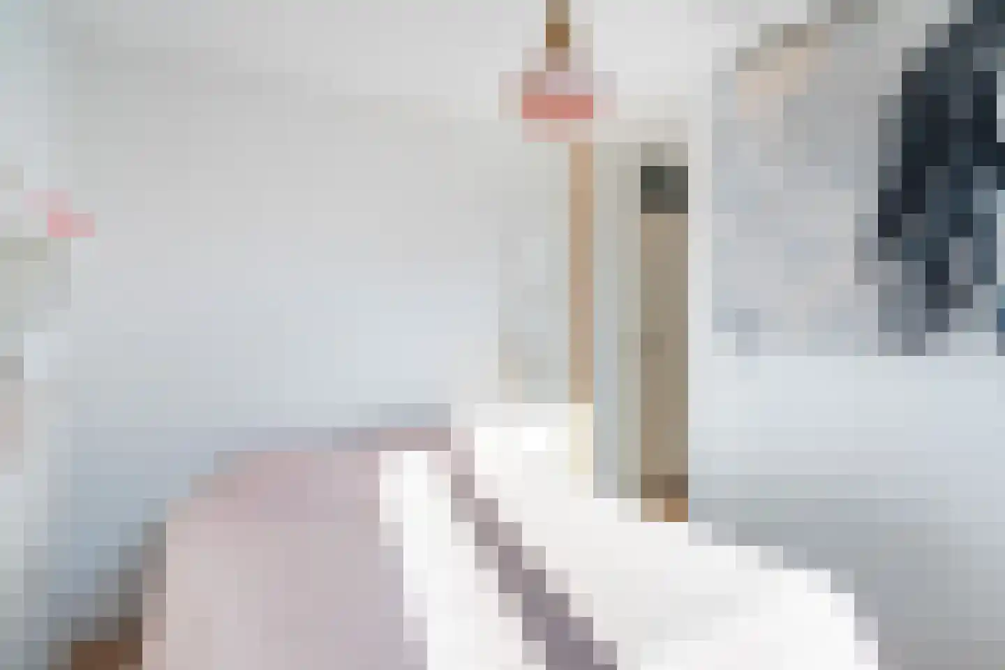 Obrechtrode 38 Zoetermeer thumbnail 41