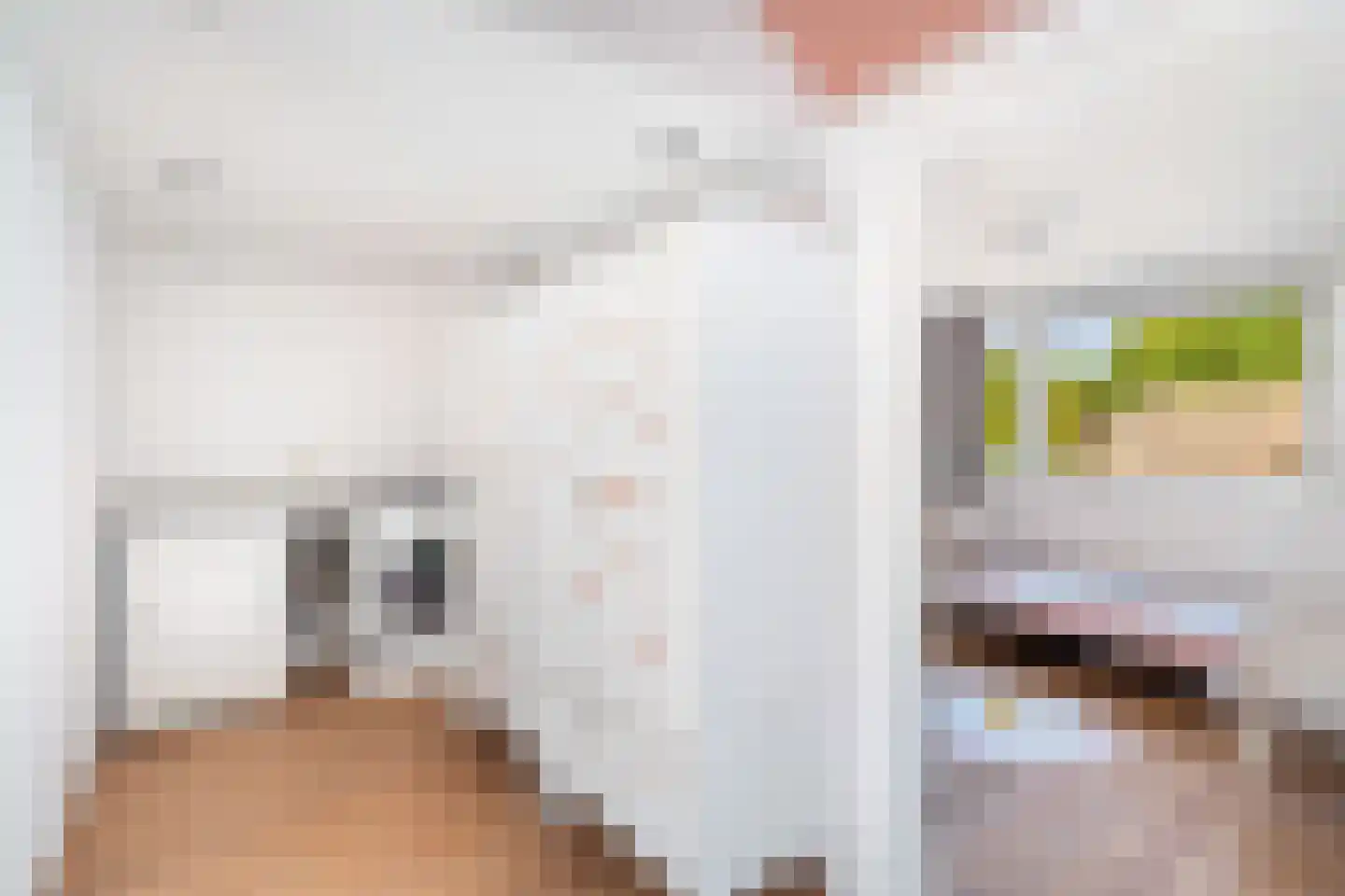 Obrechtrode 38 Zoetermeer thumbnail 47