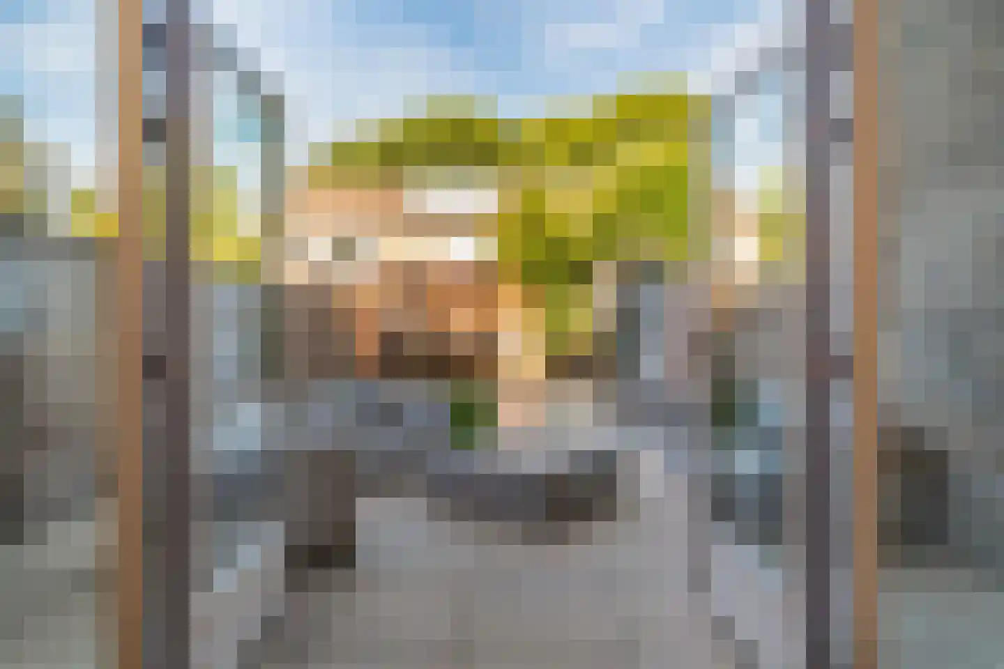 Obrechtrode 38 Zoetermeer thumbnail 5