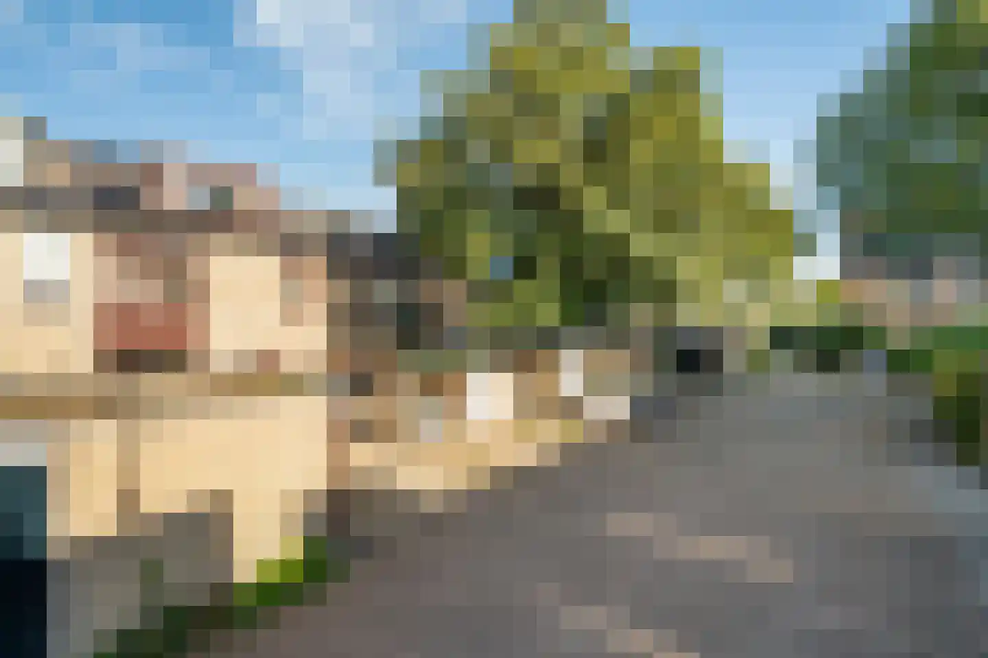Obrechtrode 38 Zoetermeer thumbnail 53
