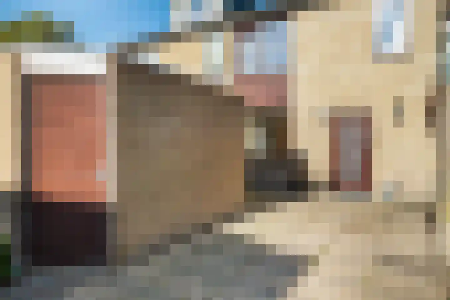 Obrechtrode 38 Zoetermeer thumbnail 8