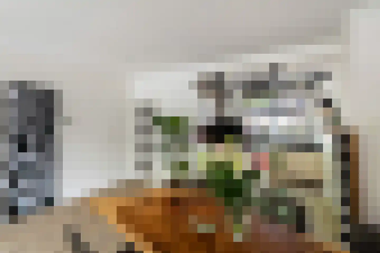 Obrechtrode 40 Zoetermeer thumbnail 16