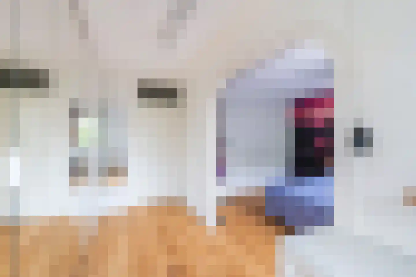 Obrechtrode 40 Zoetermeer thumbnail 31