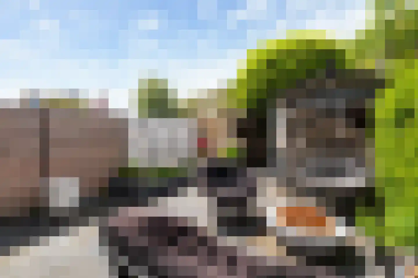 Obrechtrode 40 Zoetermeer thumbnail 37