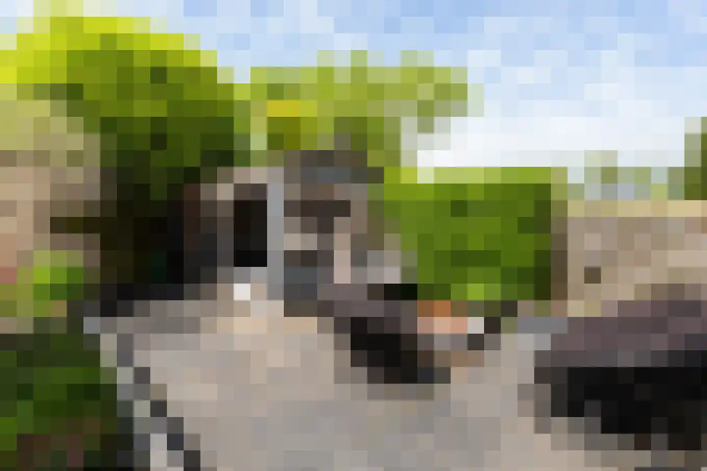 Obrechtrode 40 Zoetermeer thumbnail 38