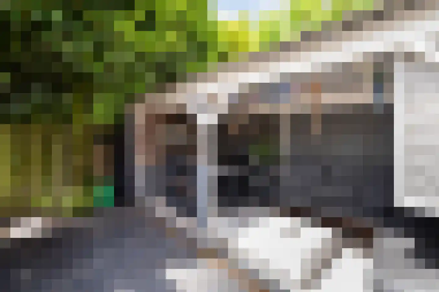 Obrechtrode 40 Zoetermeer thumbnail 39