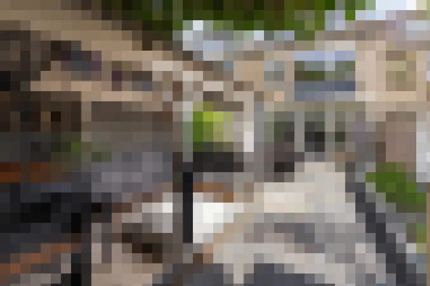 Obrechtrode 40 Zoetermeer thumbnail 4