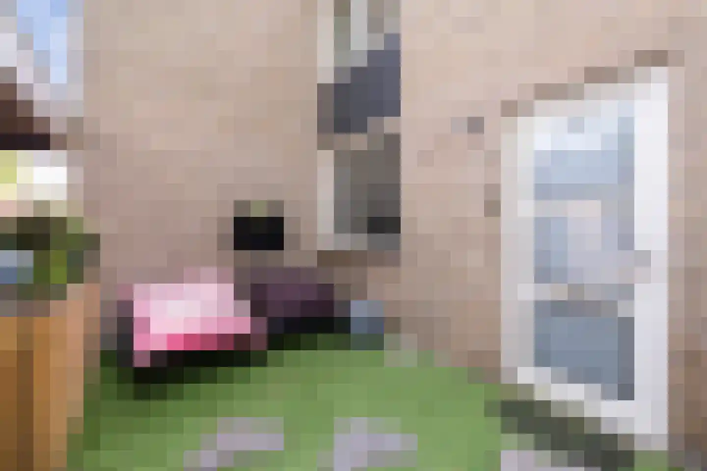 Obrechtrode 40 Zoetermeer thumbnail 41
