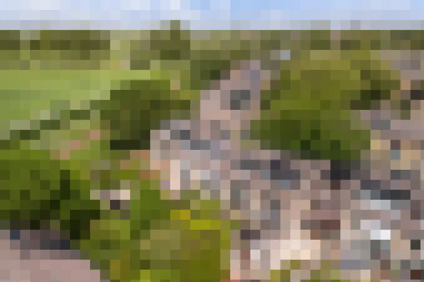 Obrechtrode 40 Zoetermeer thumbnail 49