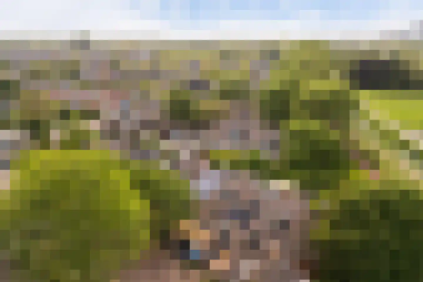 Obrechtrode 40 Zoetermeer thumbnail 51