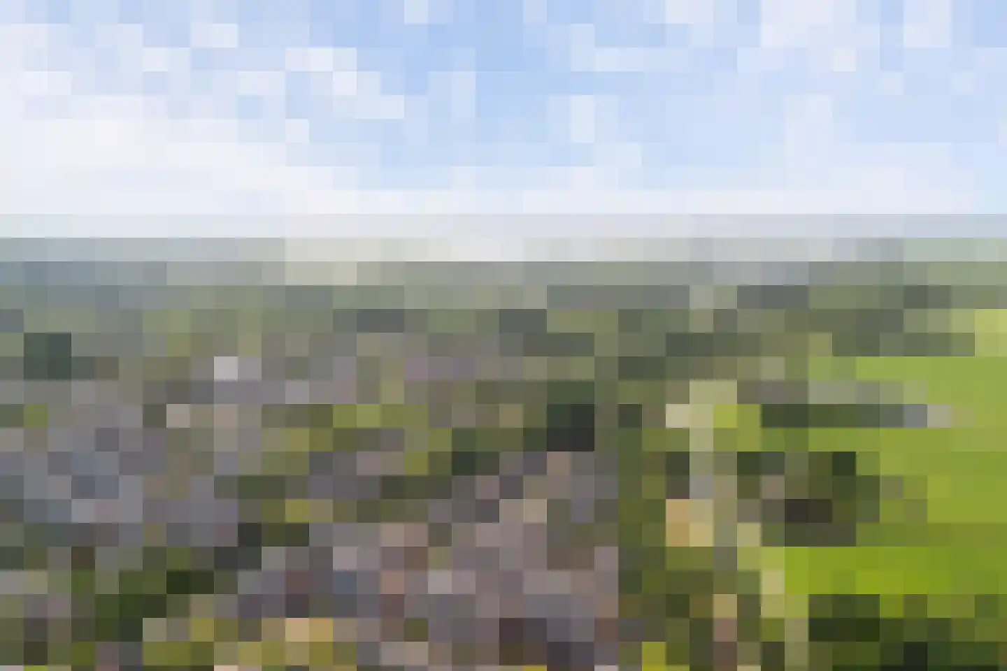 Obrechtrode 40 Zoetermeer thumbnail 53