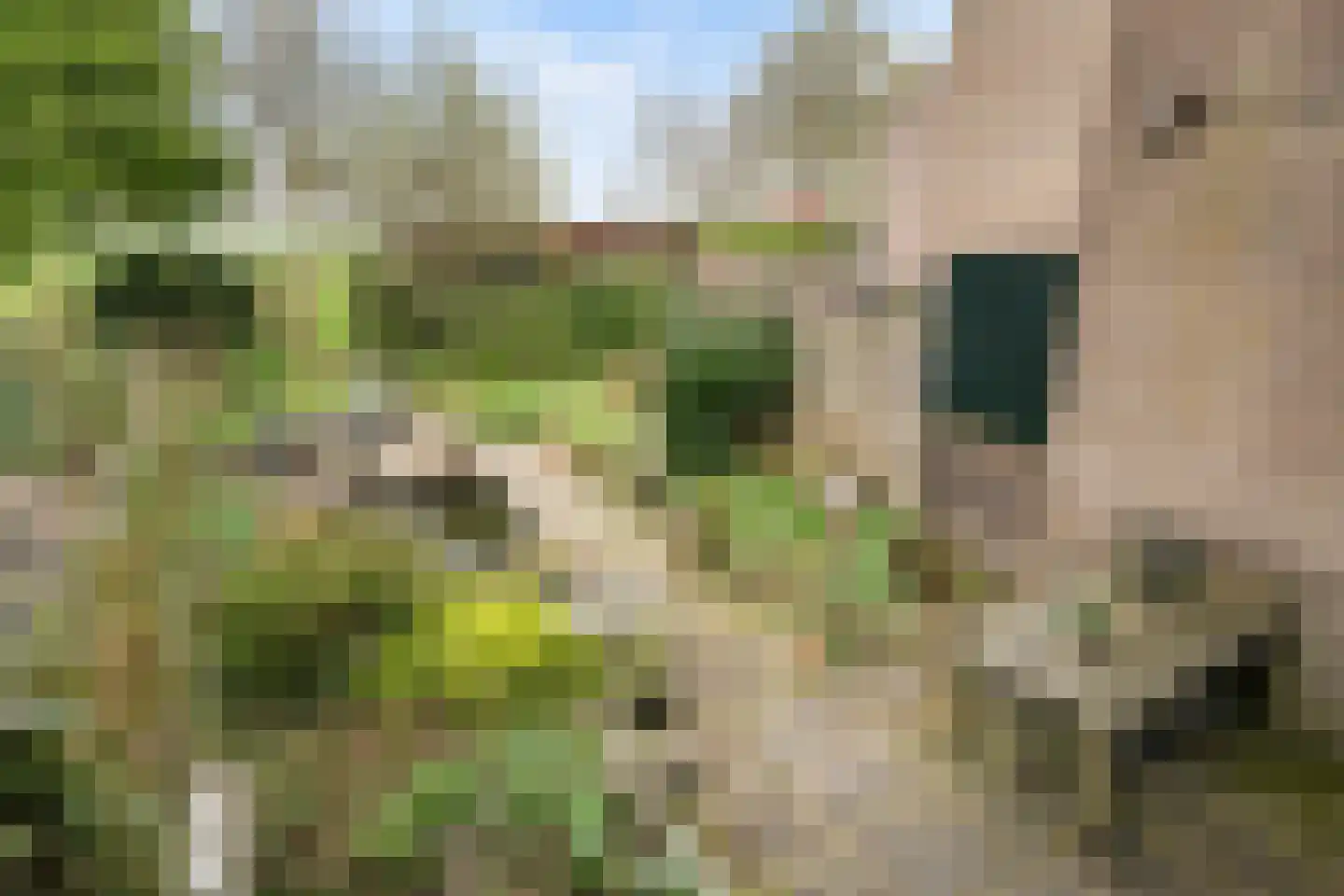 Obrechtrode 54 Zoetermeer thumbnail 16