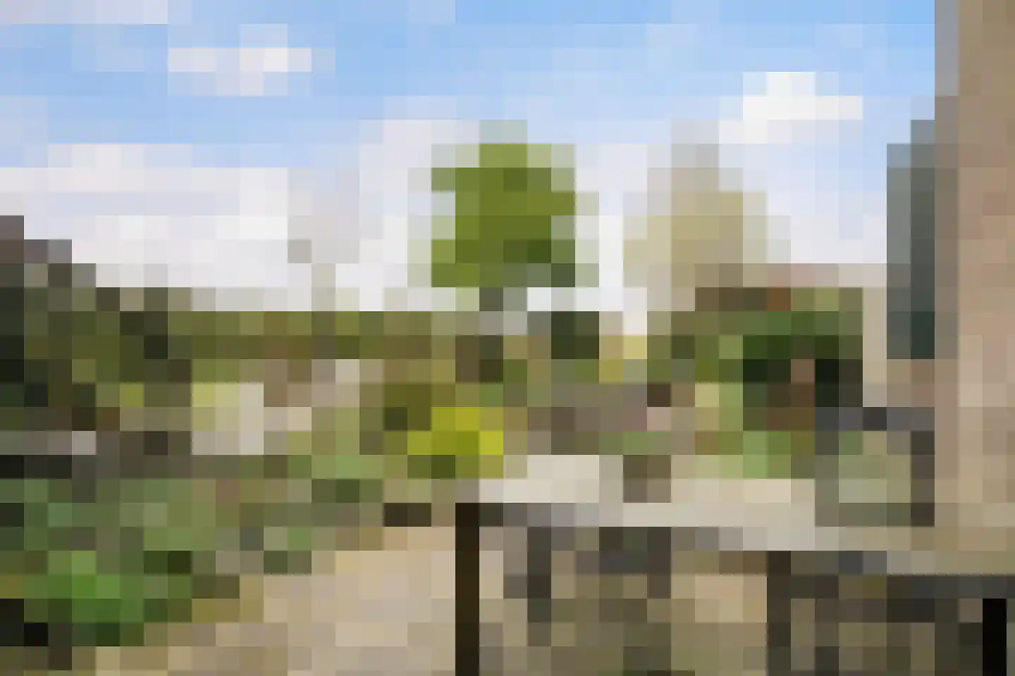 Obrechtrode 54 Zoetermeer thumbnail 17