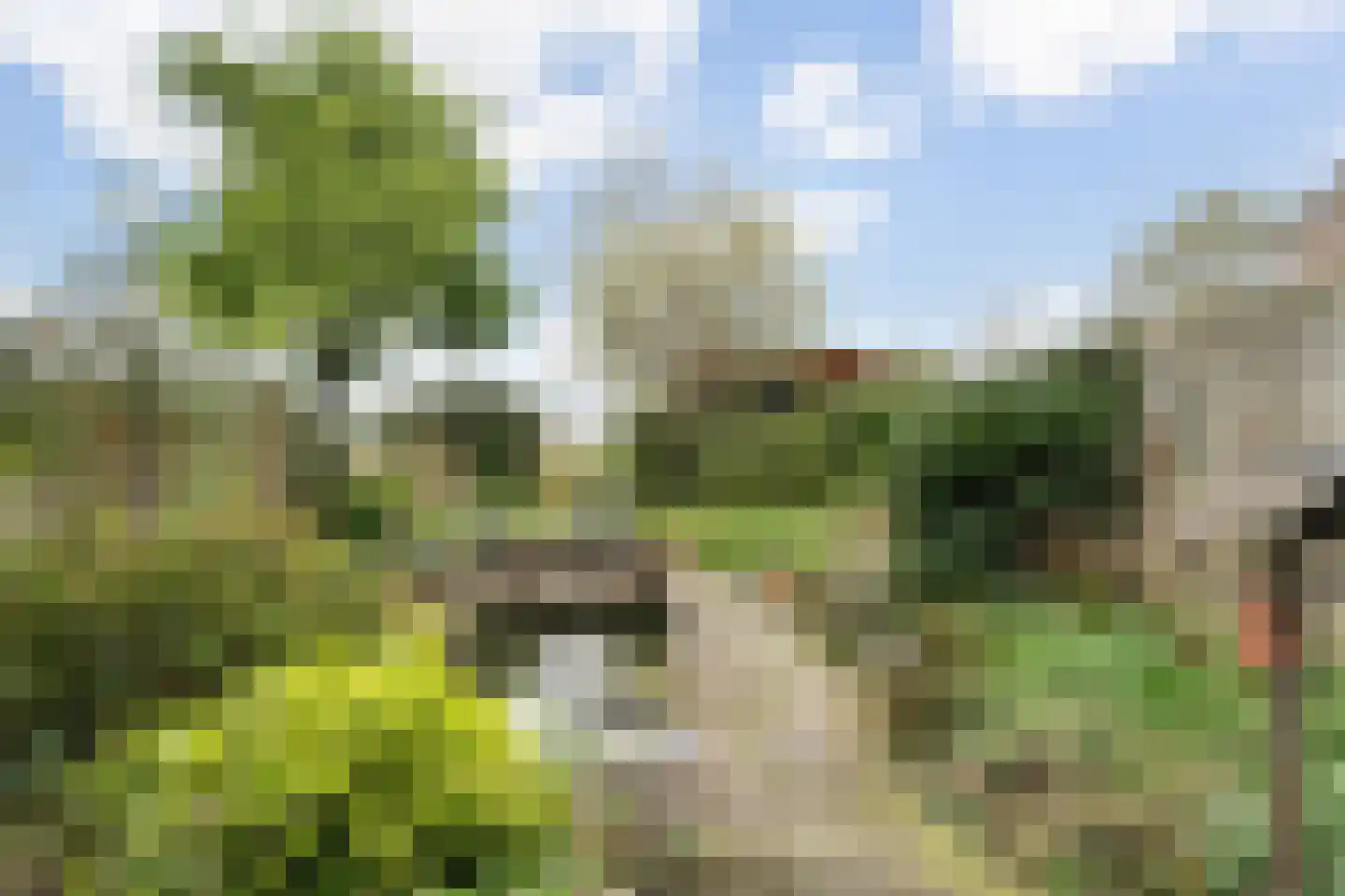 Obrechtrode 54 Zoetermeer thumbnail 18