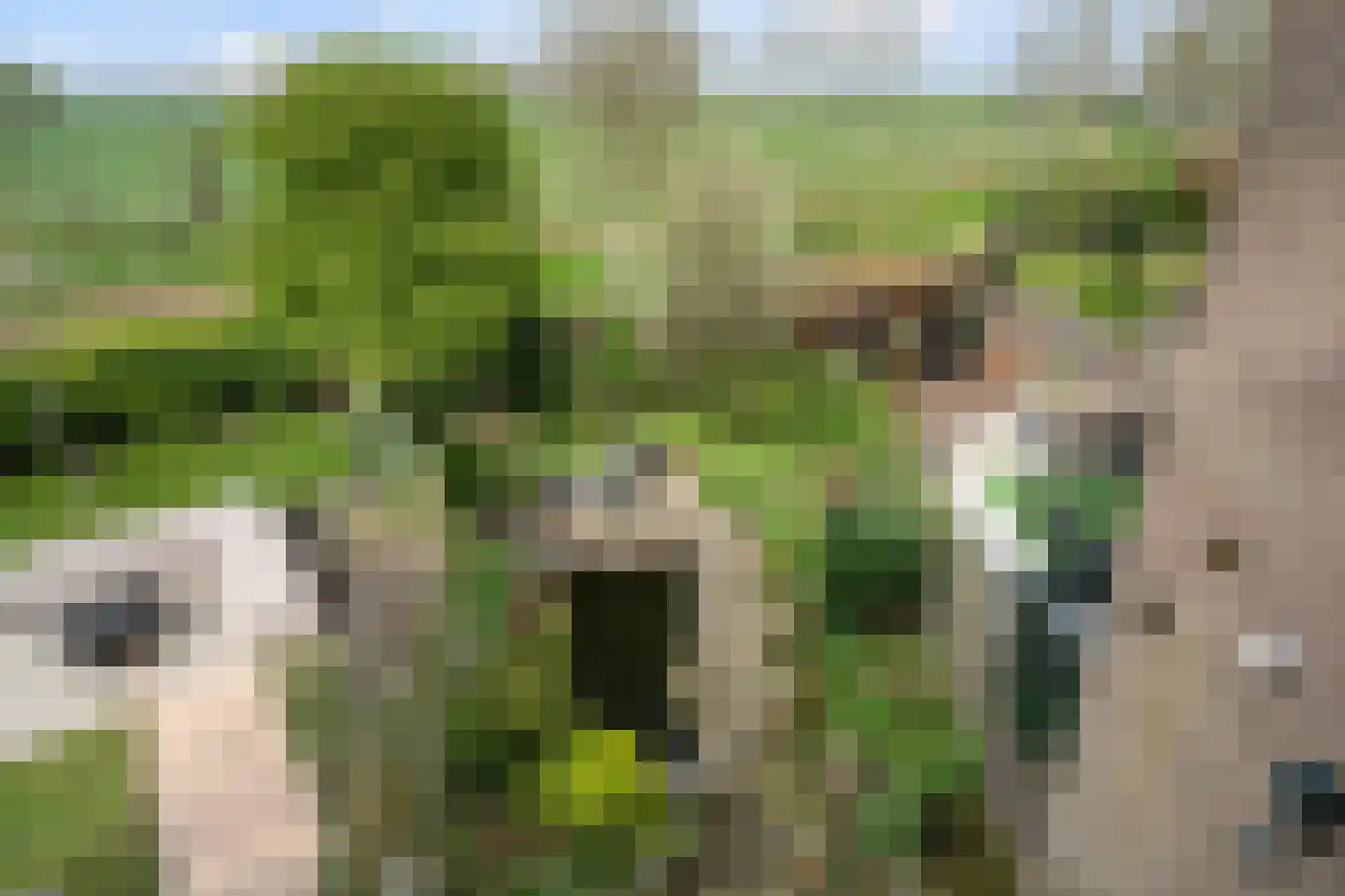 Obrechtrode 54 Zoetermeer thumbnail 42