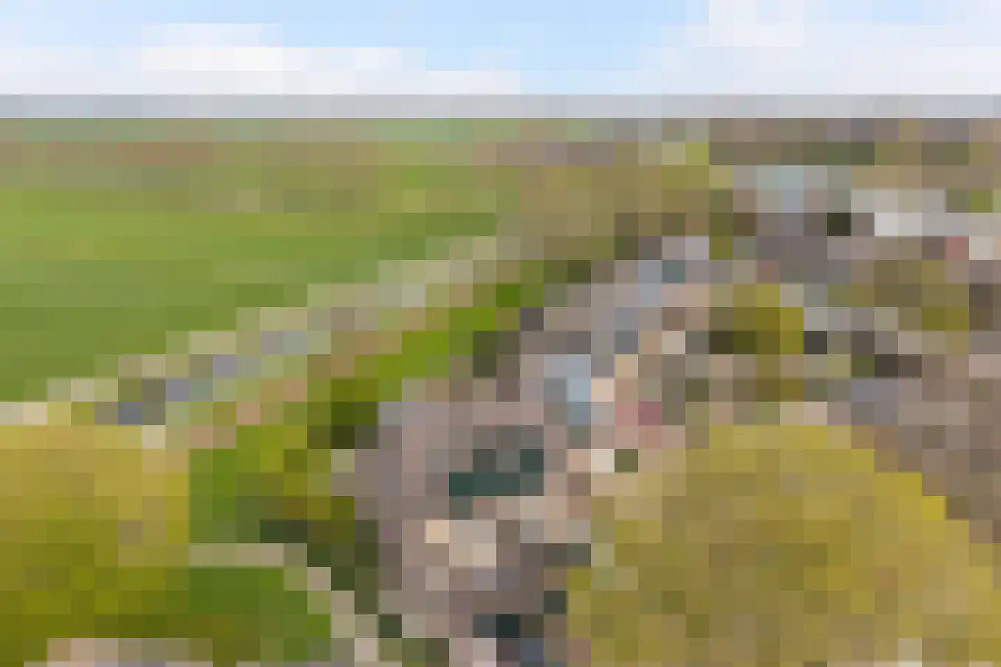Obrechtrode 54 Zoetermeer thumbnail 5