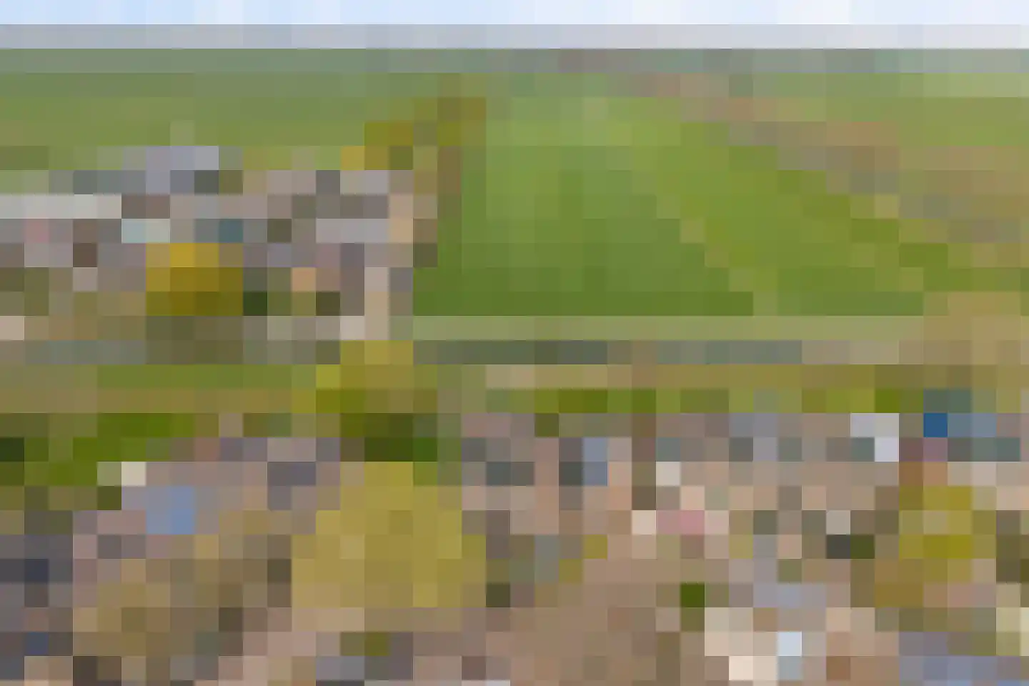 Obrechtrode 54 Zoetermeer thumbnail 55
