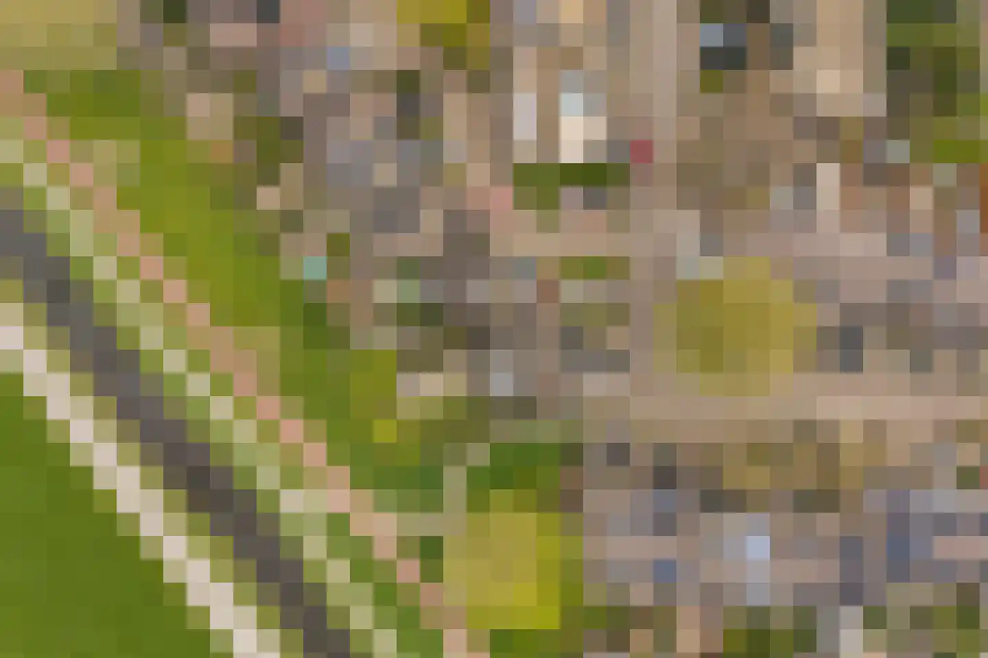 Obrechtrode 54 Zoetermeer thumbnail 56