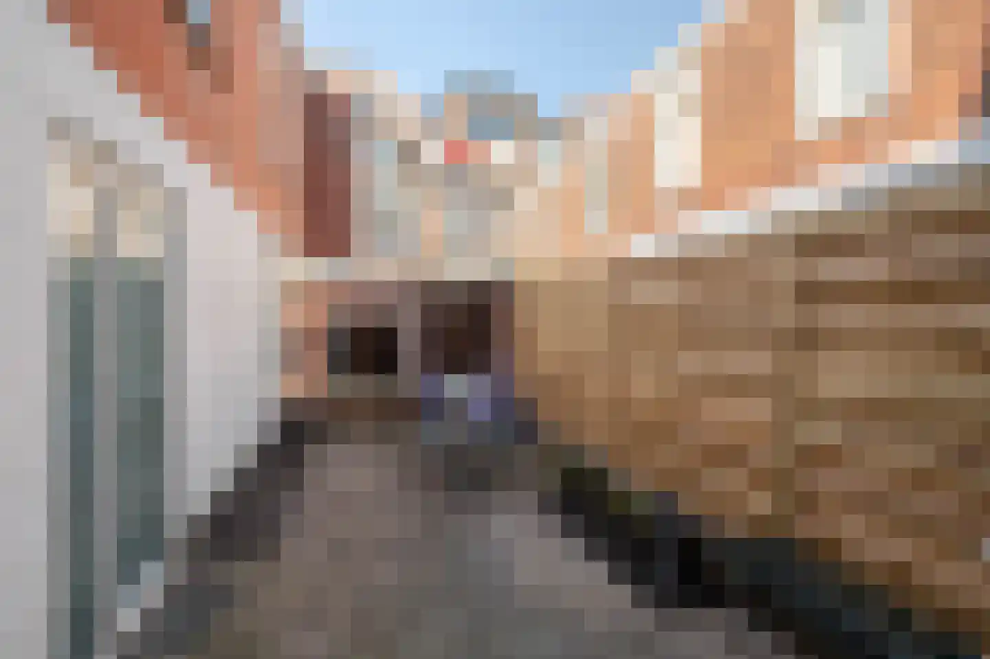 Obrechtstraat 117 Den Haag thumbnail 26