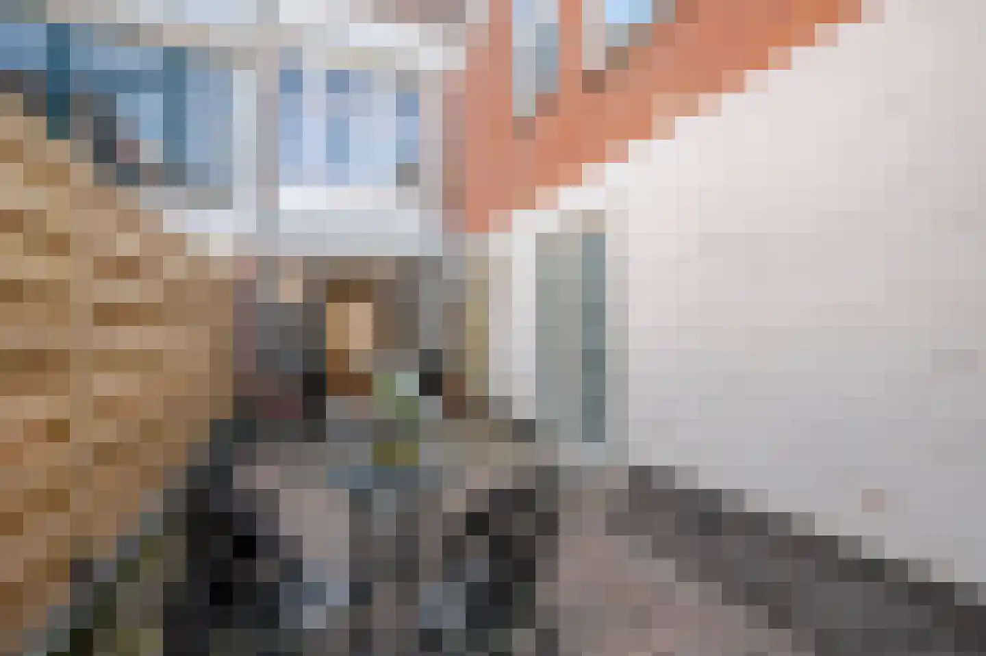 Obrechtstraat 117 Den Haag thumbnail 30