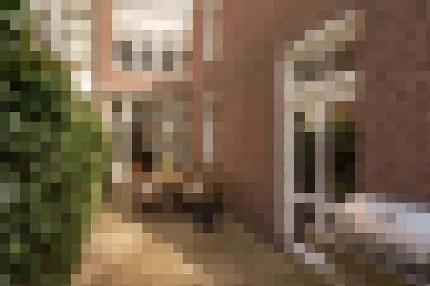 Obrechtstraat 126 Den Haag thumbnail 25
