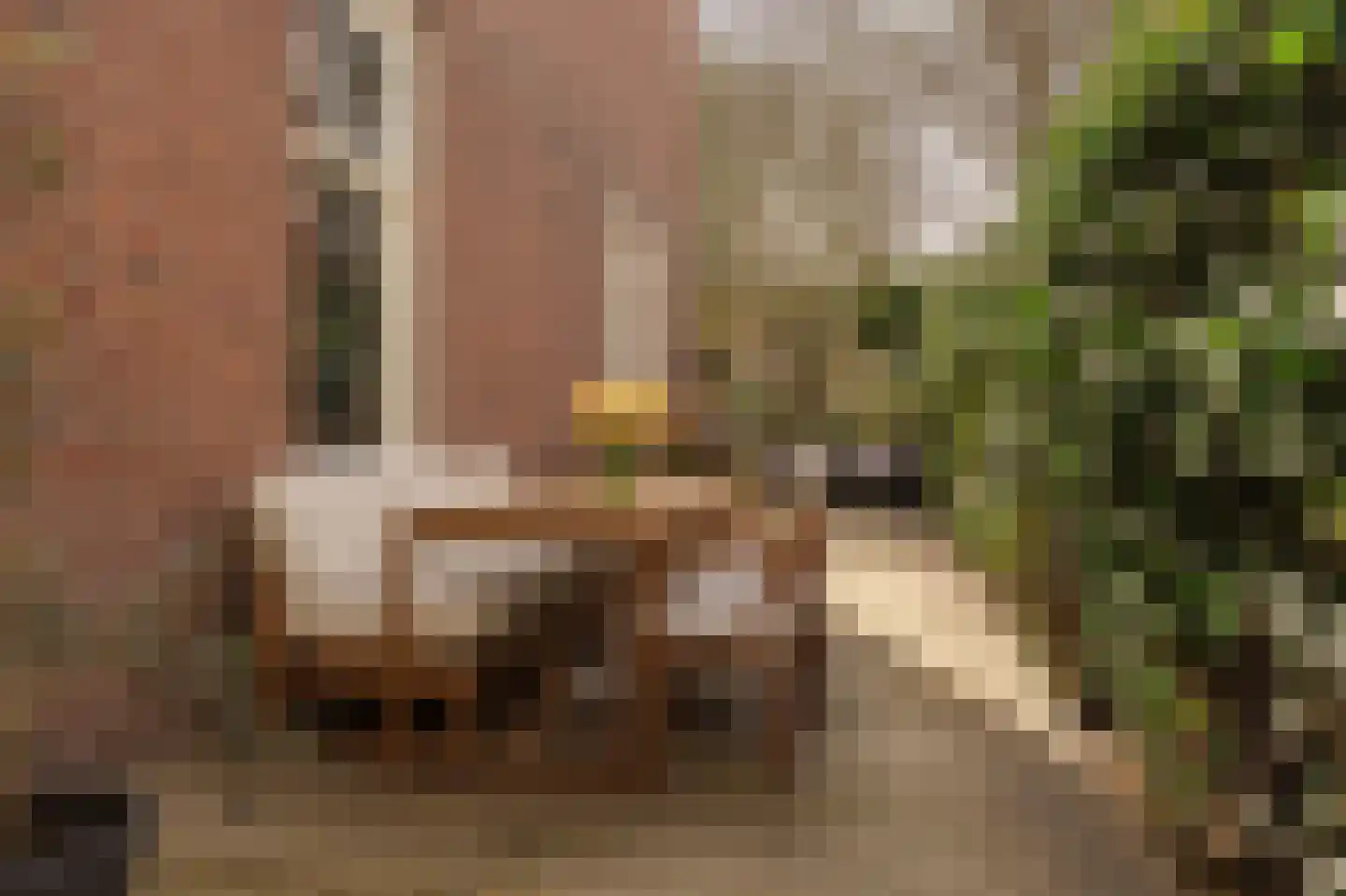Obrechtstraat 126 Den Haag thumbnail 5