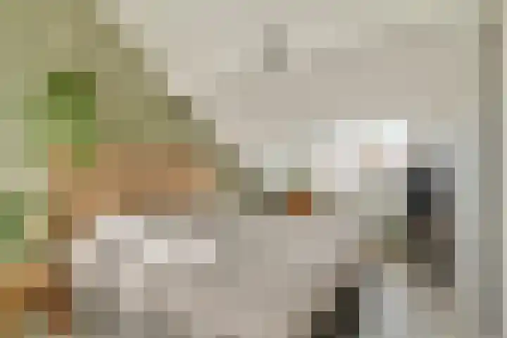 Obrechtstraat 13 Dordrecht thumbnail 5