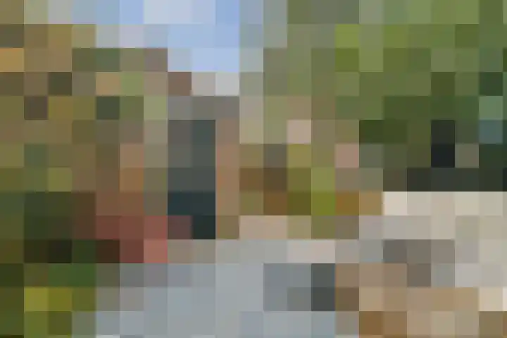 Obrechtstraat 13 Dordrecht thumbnail 6