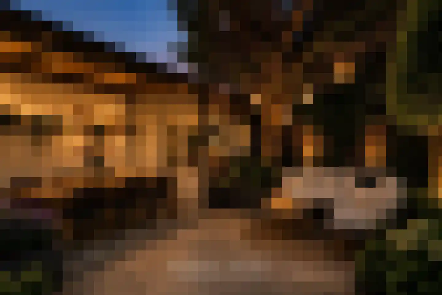 Obrechtstraat 13 Utrecht thumbnail 28