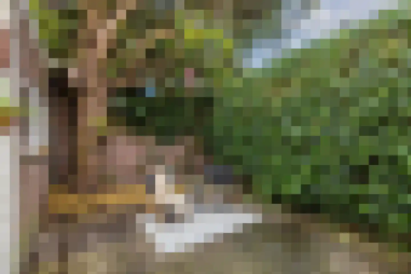 Obrechtstraat 13 Utrecht thumbnail 31