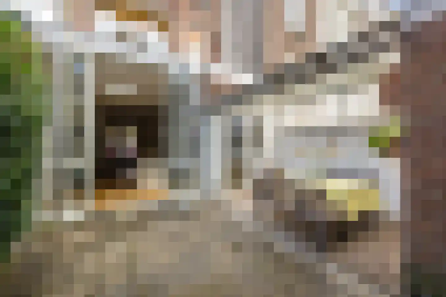 Obrechtstraat 13 Utrecht thumbnail 32