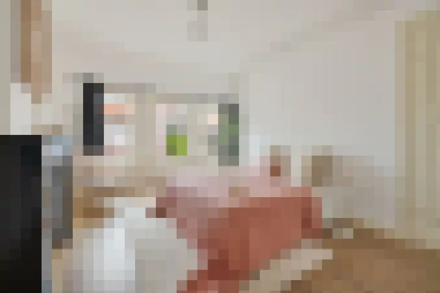 Obrechtstraat 13 Utrecht thumbnail 51