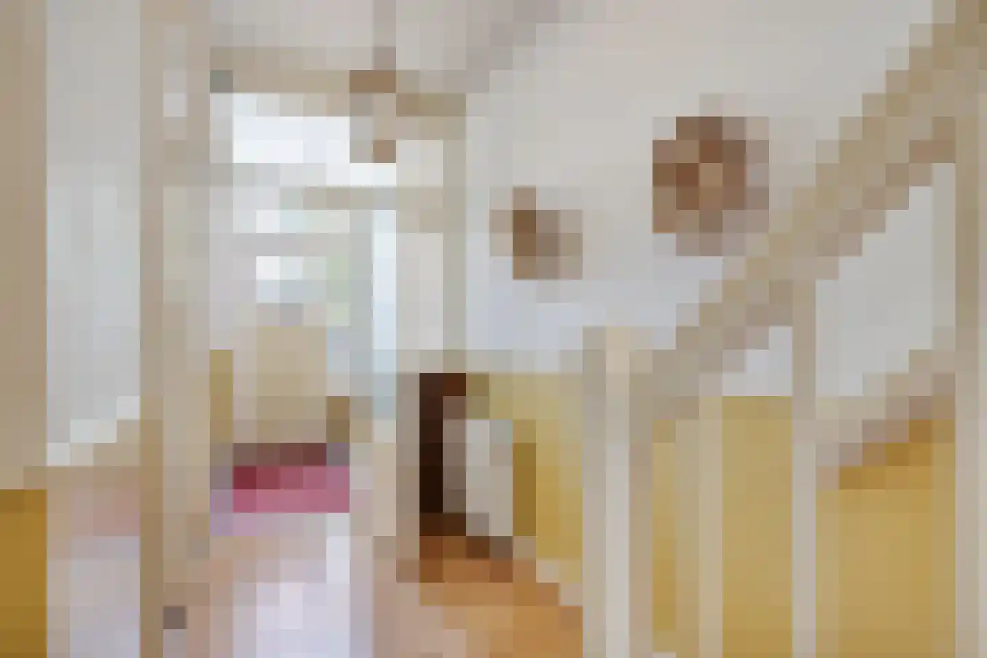 Obrechtstraat 13 Utrecht thumbnail 9