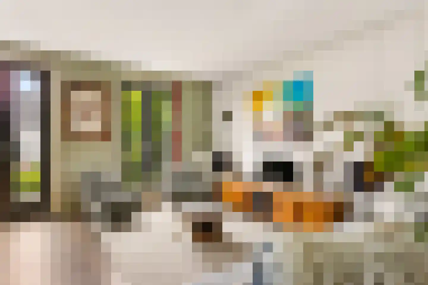 Obrechtstraat 149 Zwolle thumbnail 10