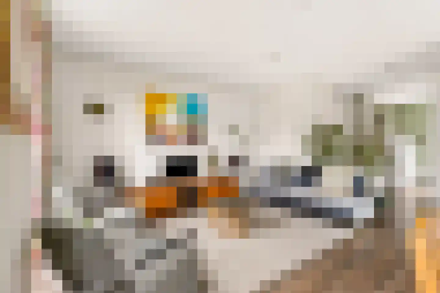 Obrechtstraat 149 Zwolle thumbnail 11