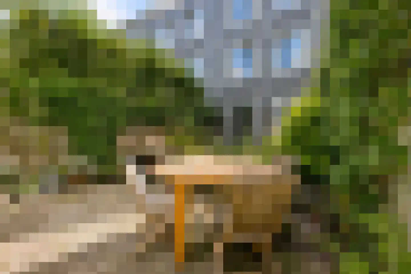 Obrechtstraat 149 Zwolle thumbnail 47
