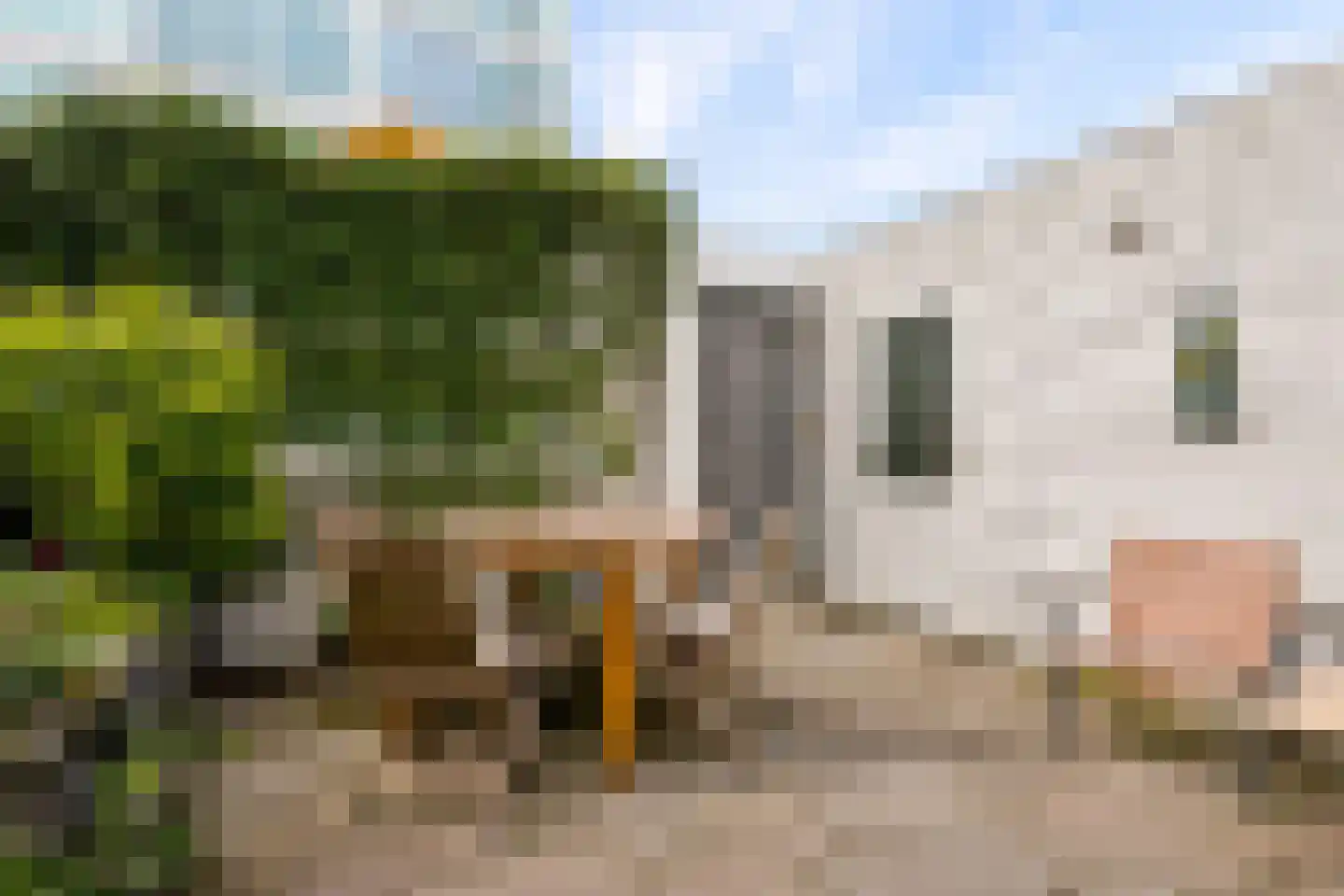 Obrechtstraat 149 Zwolle thumbnail 48