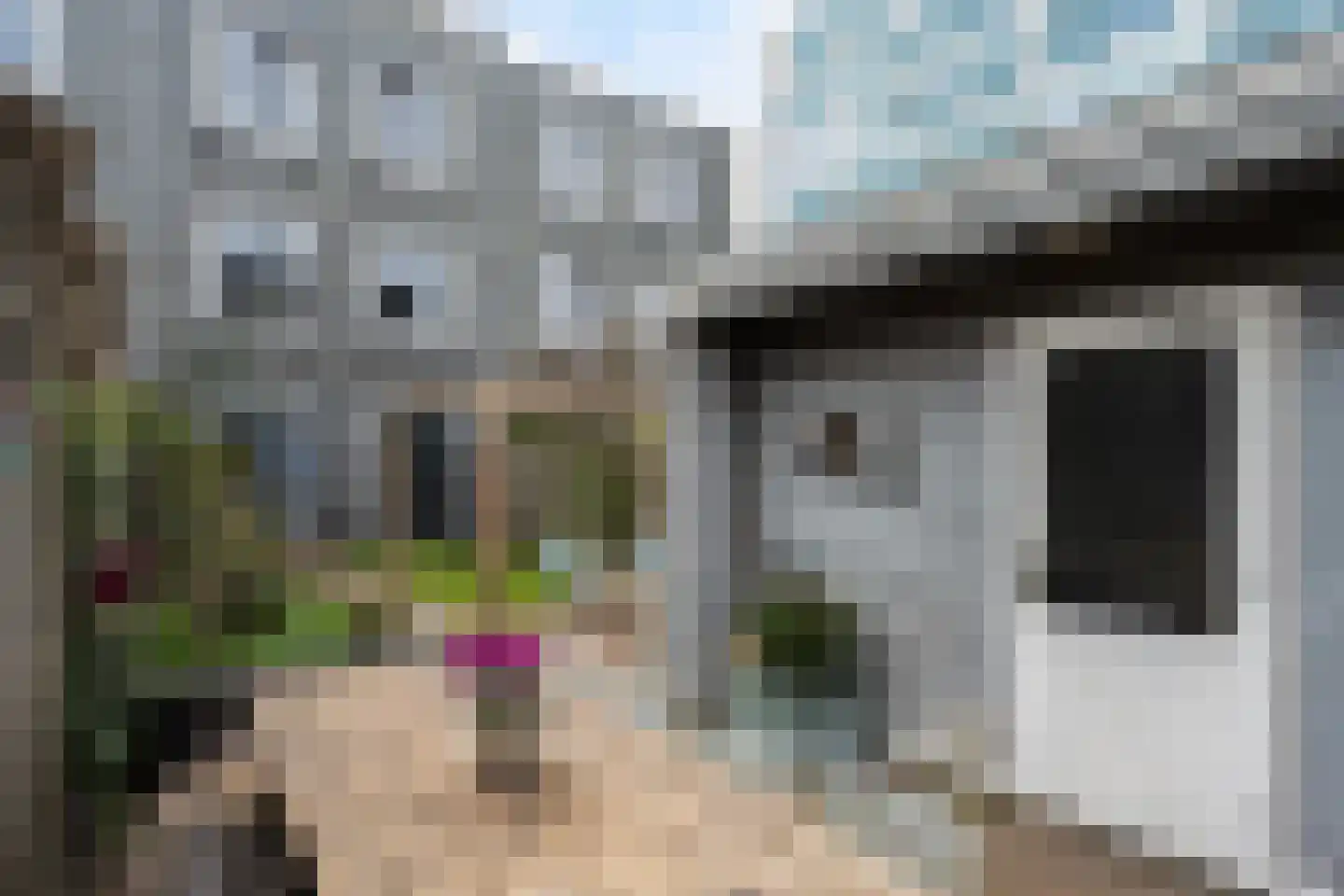 Obrechtstraat 151 Zwolle thumbnail 12