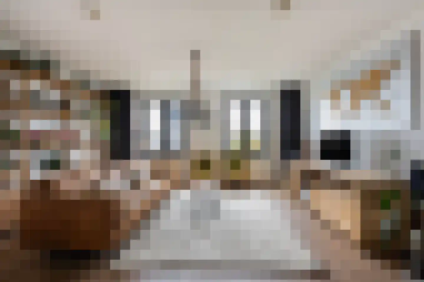 Obrechtstraat 151 Zwolle thumbnail 6