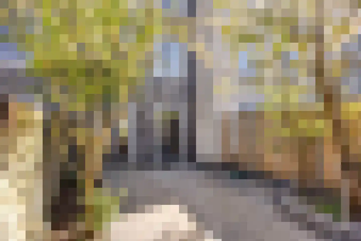 Obrechtstraat 157 Zwolle thumbnail 15