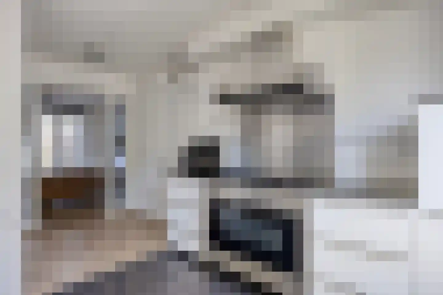 Obrechtstraat 157 Zwolle thumbnail 7