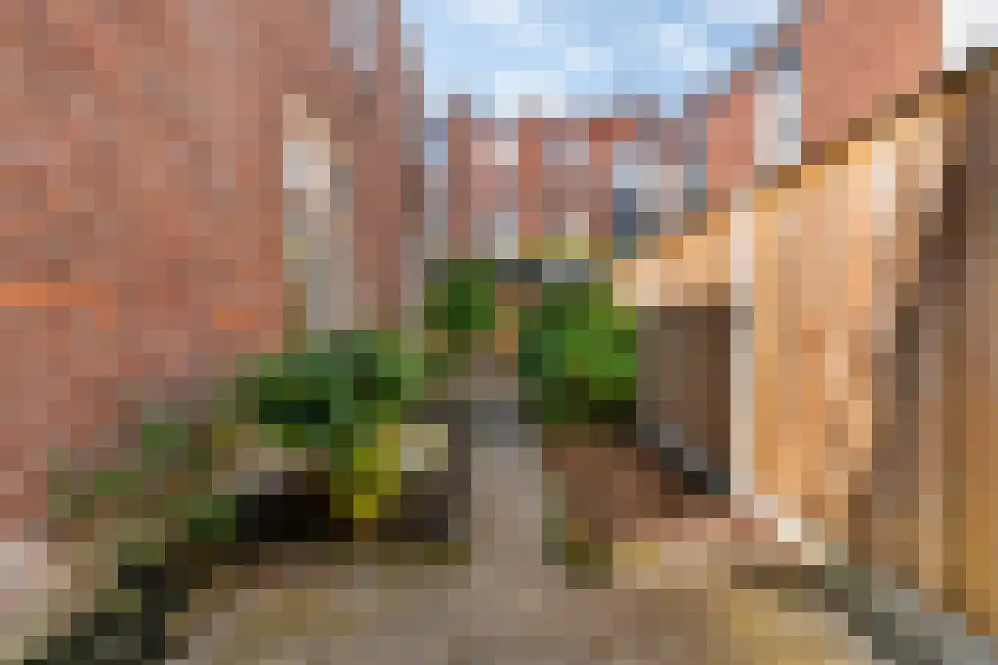 Obrechtstraat 165 Den Haag thumbnail 17