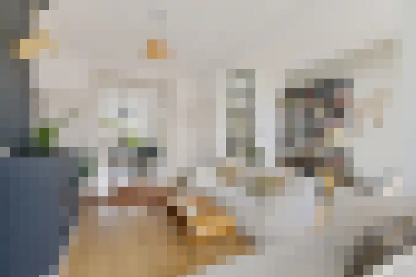 Obrechtstraat 17 BS Utrecht thumbnail 10
