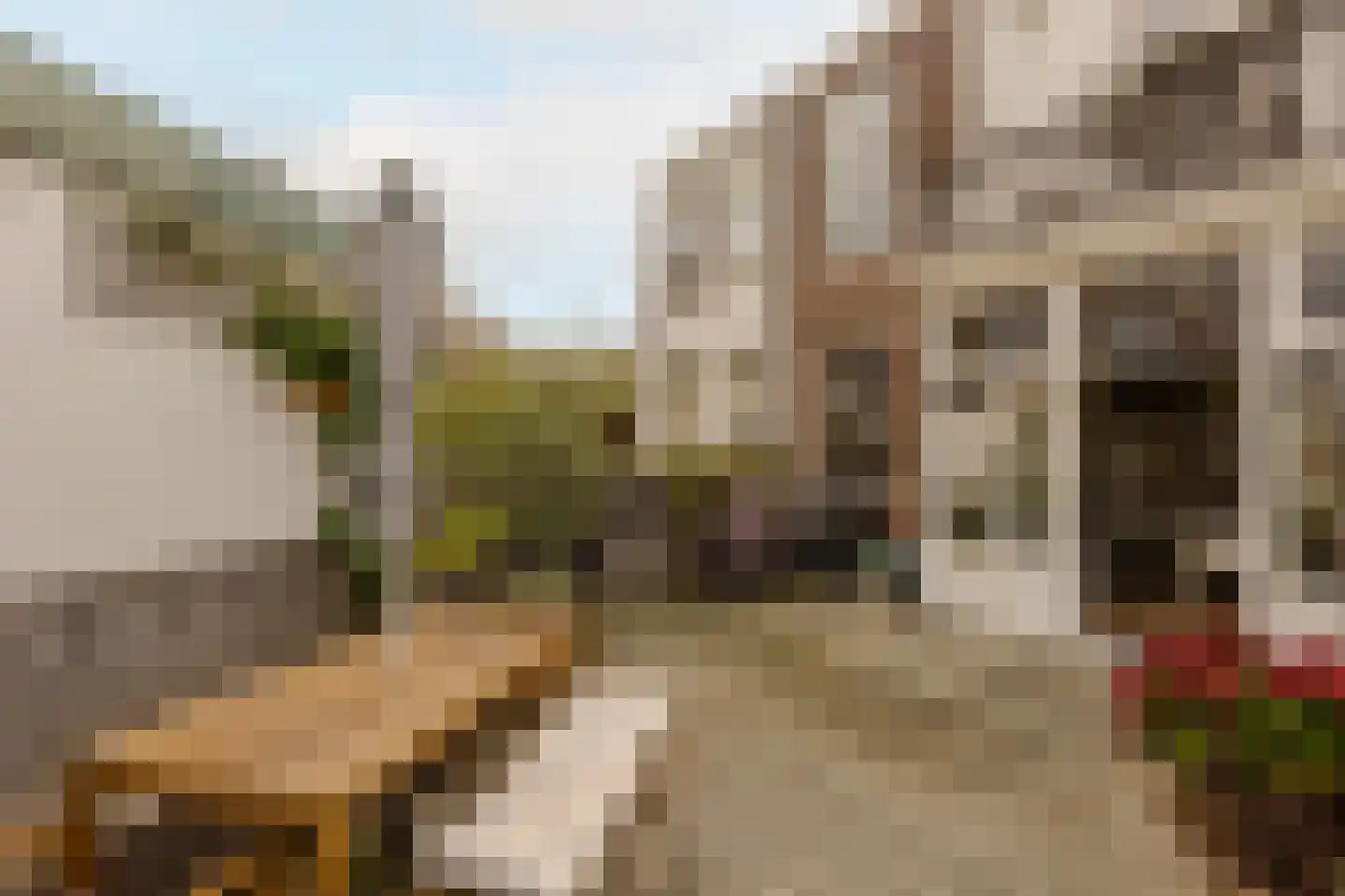 Obrechtstraat 185 Den Haag thumbnail 26